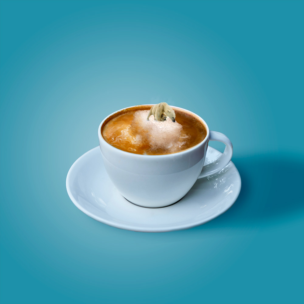 Fotomontaggio tazza di caffè e orso polare